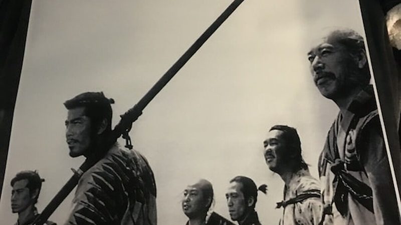 耐寒苗木定制种植：如何打造四季常青的园林景观**