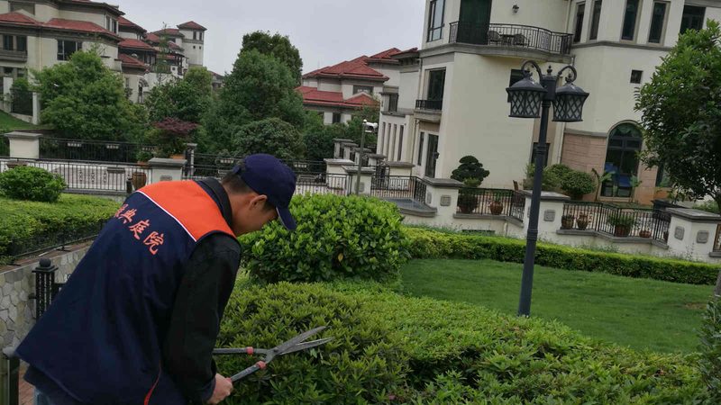 高速公路边坡绿化预算报价解析：关键因素与合理评估**