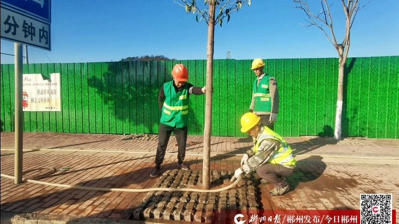 绿化资质新办分类等级：了解这些，让项目更合规**