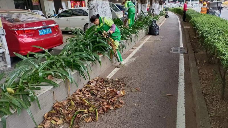 小区绿化养护如何巧省开支？**