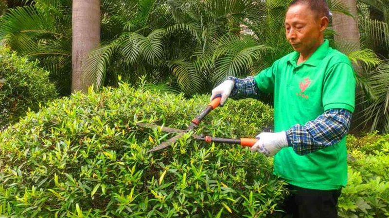 边坡绿化材料：如何选择合适的厂家？**