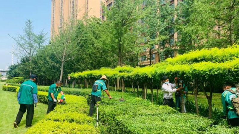 屋顶花园承重设计：安全与美观的平衡之道**
